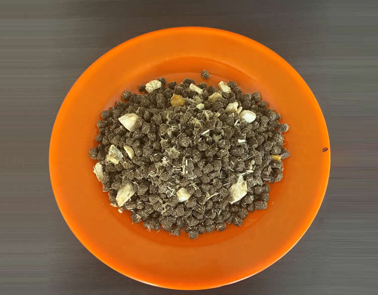 Puppy food